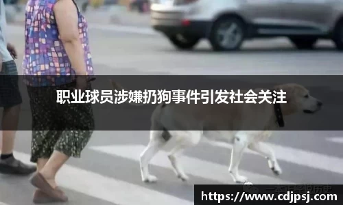 职业球员涉嫌扔狗事件引发社会关注